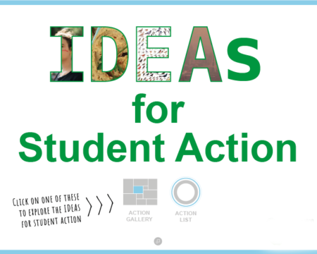 Screenshot of IDEAS for Student Action starting slide