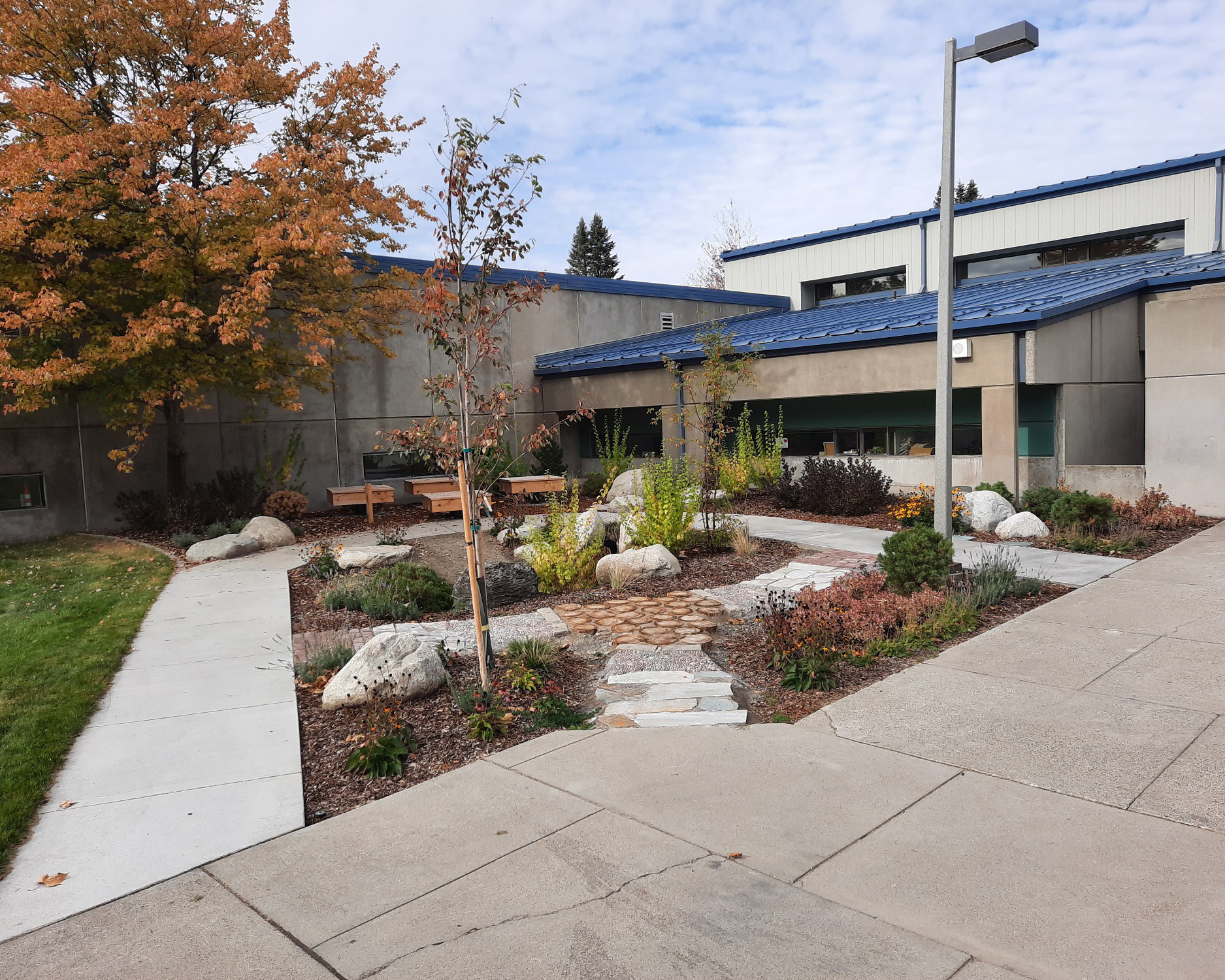 Outdoor Learning Lab at Bemiss Elementary, rain garden and sensory pathway are in the center of the image and learning platforms with benches and the school building in the background.