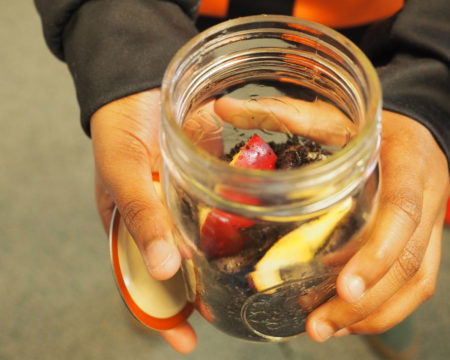 A close-up of a student's hands holding an open mason jar with soil at the bottom and two slices of apple on top of the soil.