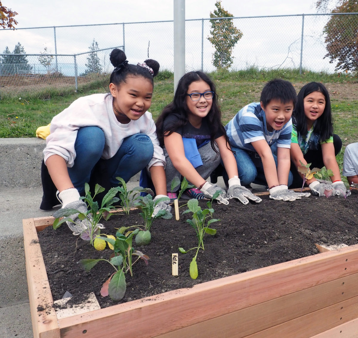 4 elementary students have their hands in the dirt of a raised bed.