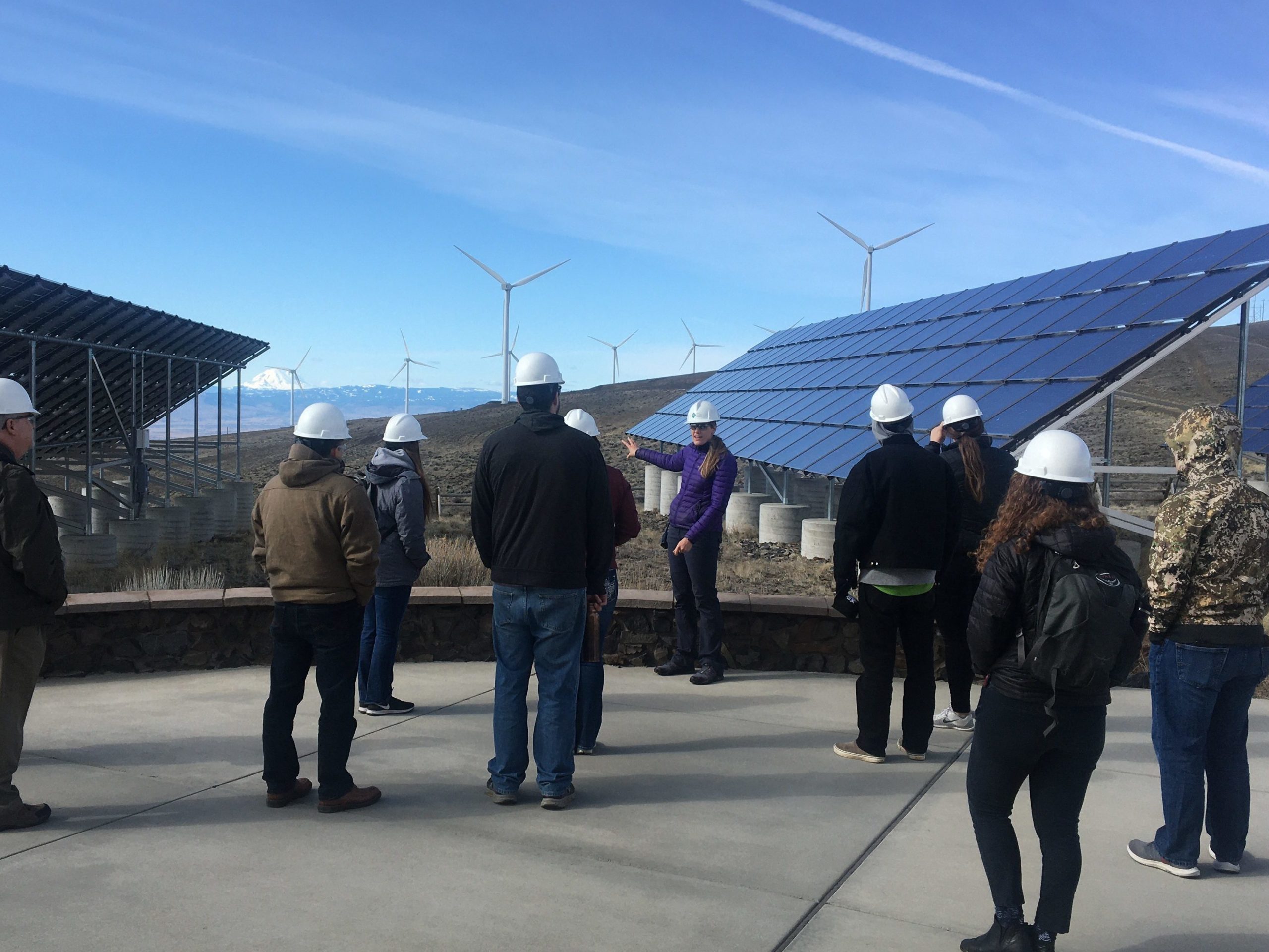 Teachers wear hard hats and look out on large solar arrays and wind generators during an Energy Matters training.