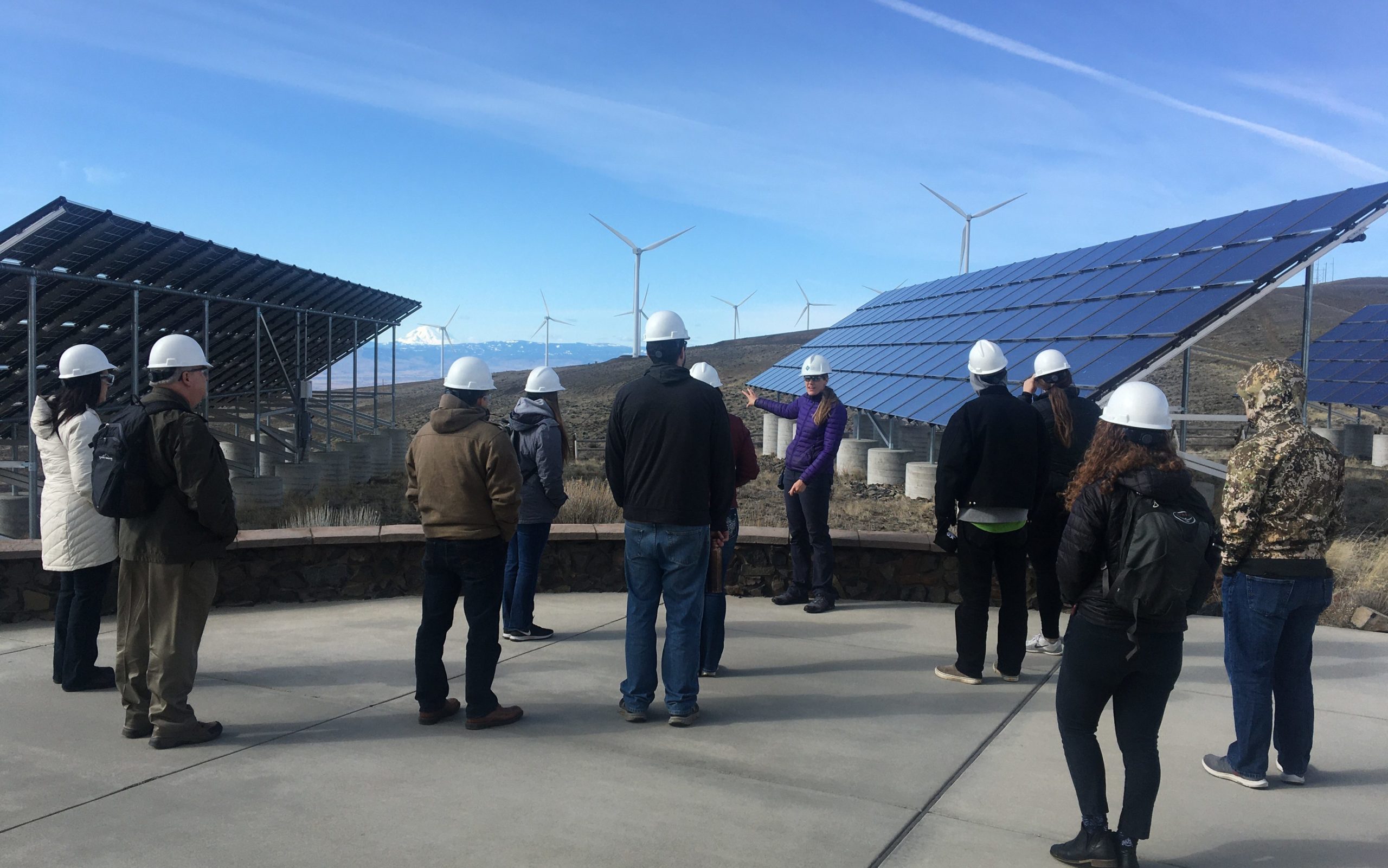 A group of educators in hard hats look out onto a field of solar panels and wind turbines at the Wild Horse Wind and Solar Facility in Yakima. 