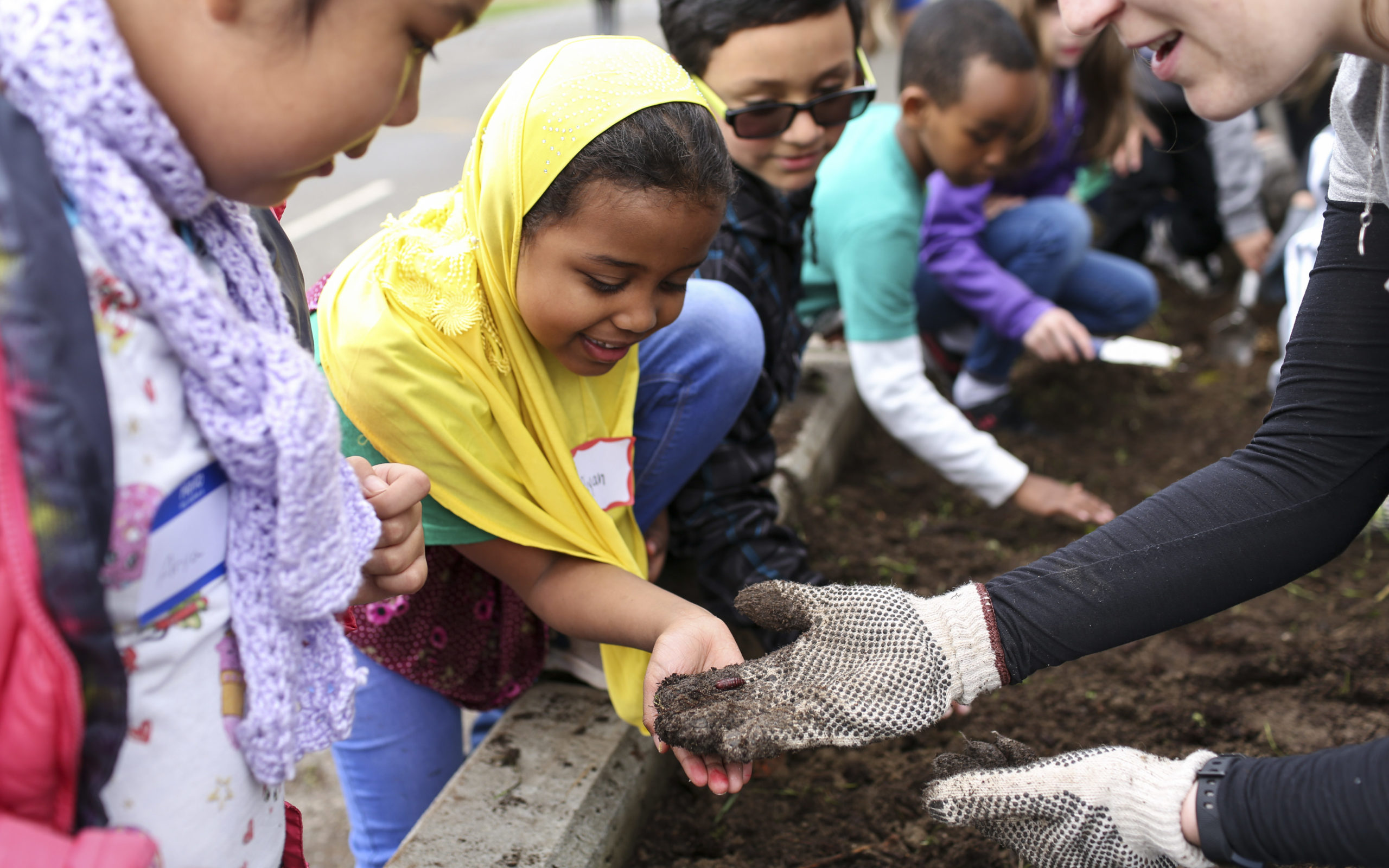 Students stand next to a newly built garden bed looking at the creatures living in the soil