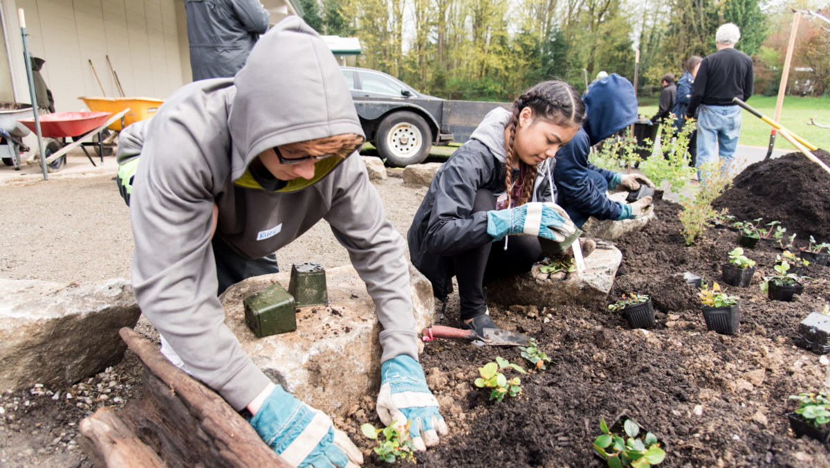 3 students plant a new rain garden