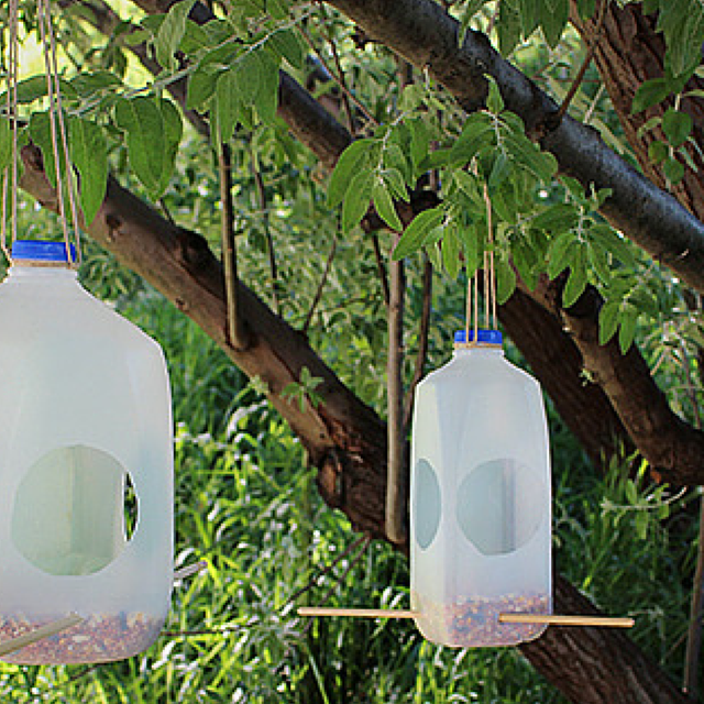 Two plastic milk carton bird feeders hang in a tree.