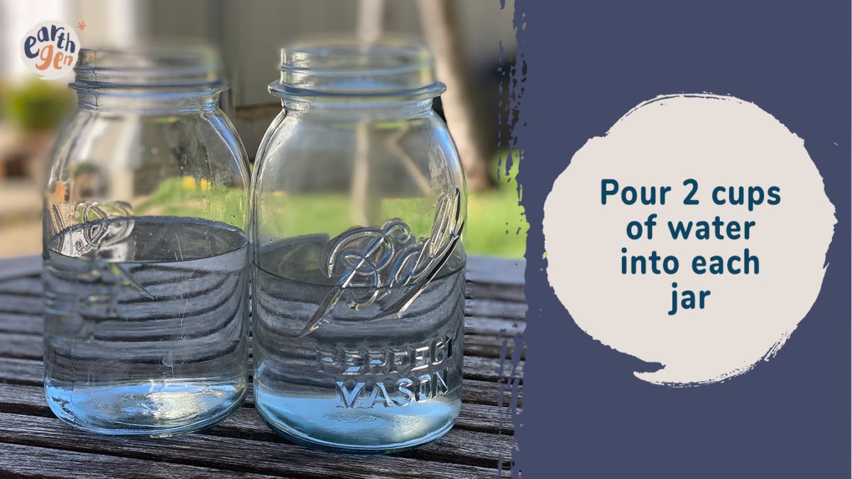 Pour two cups of water into each jar