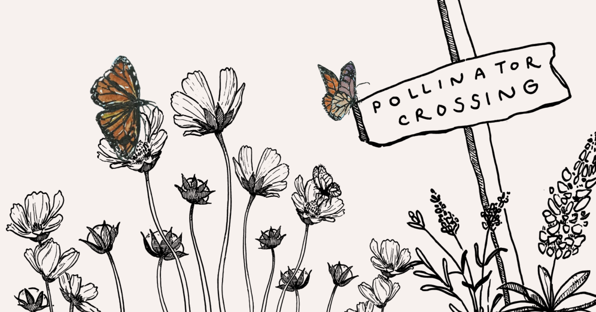 Illustration showing flowers and monarch butterflies with a sign that reads Pollinator Crossing