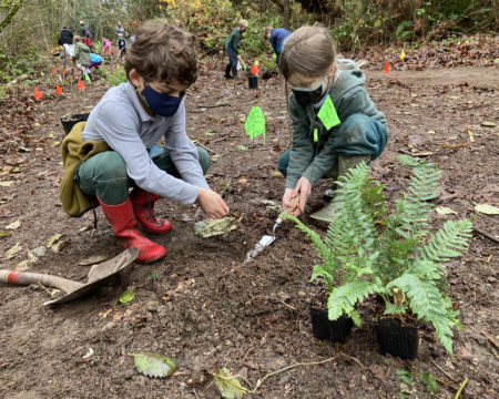 2 students plant a fern