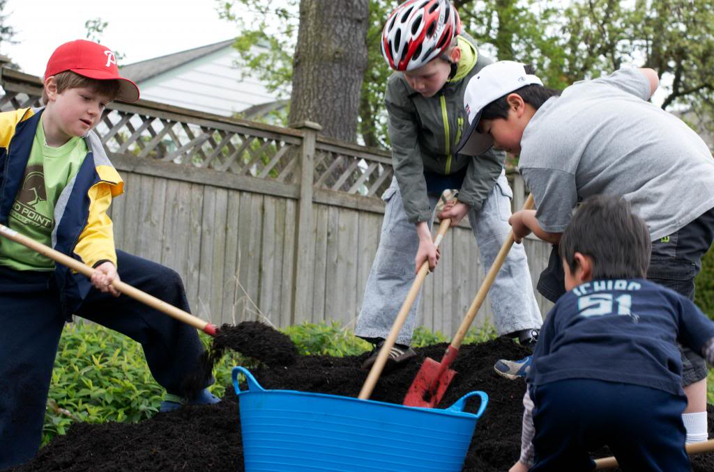 Students shovel compost into a wheelbarrow.
