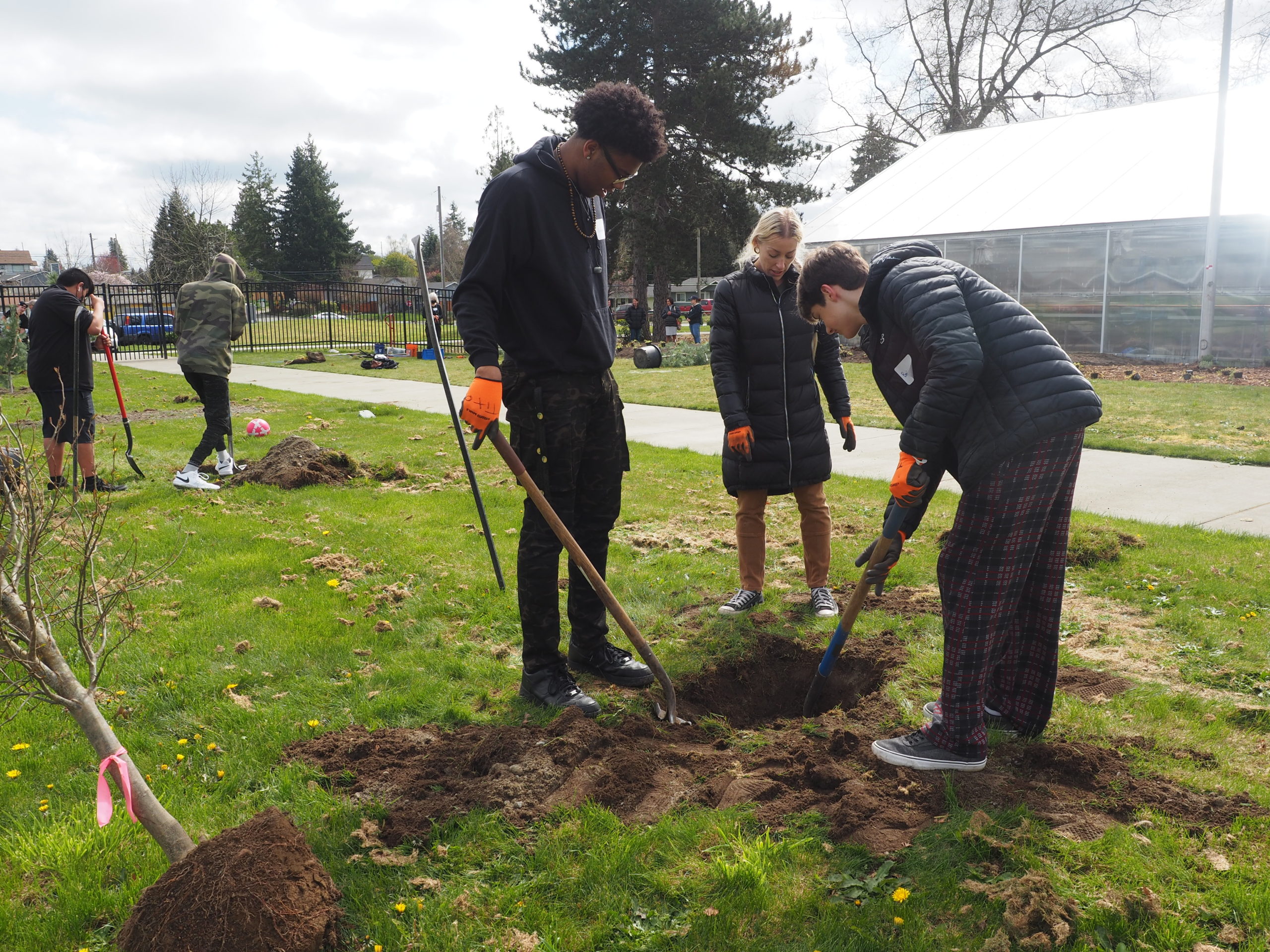 Breanne Willard helps two students plant a tree.