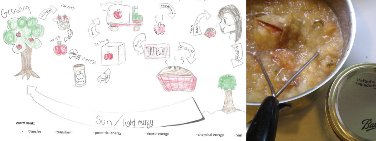 Two images paired together. The image on the left shows a student drawn Food Web that demonstrated how apples grow and the various ways they can be processed and sold in the store. The image on the right shows a potato masher in a bowl of freshly made applesauce.