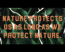 Nature protects us as long as we protect nature