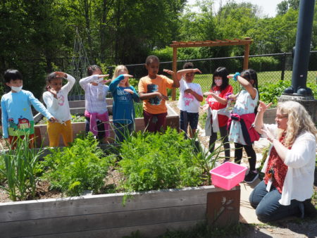 Eight elementary students raise their arms to guess how big their carrots will be as they stand around a planter box, led by a teacher kneeling on the ground.