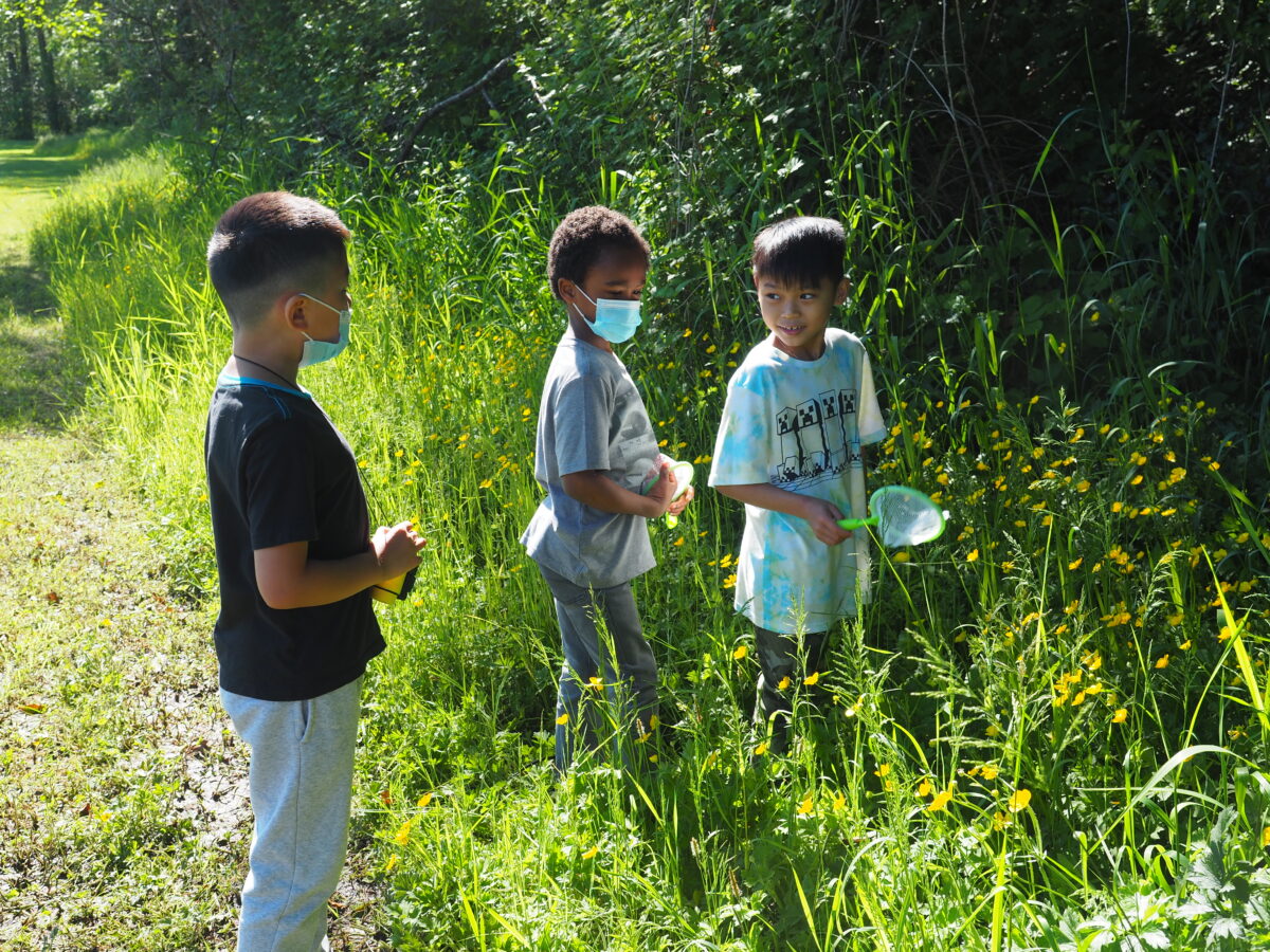 3 students stand in grass near their playground looking for pollinators