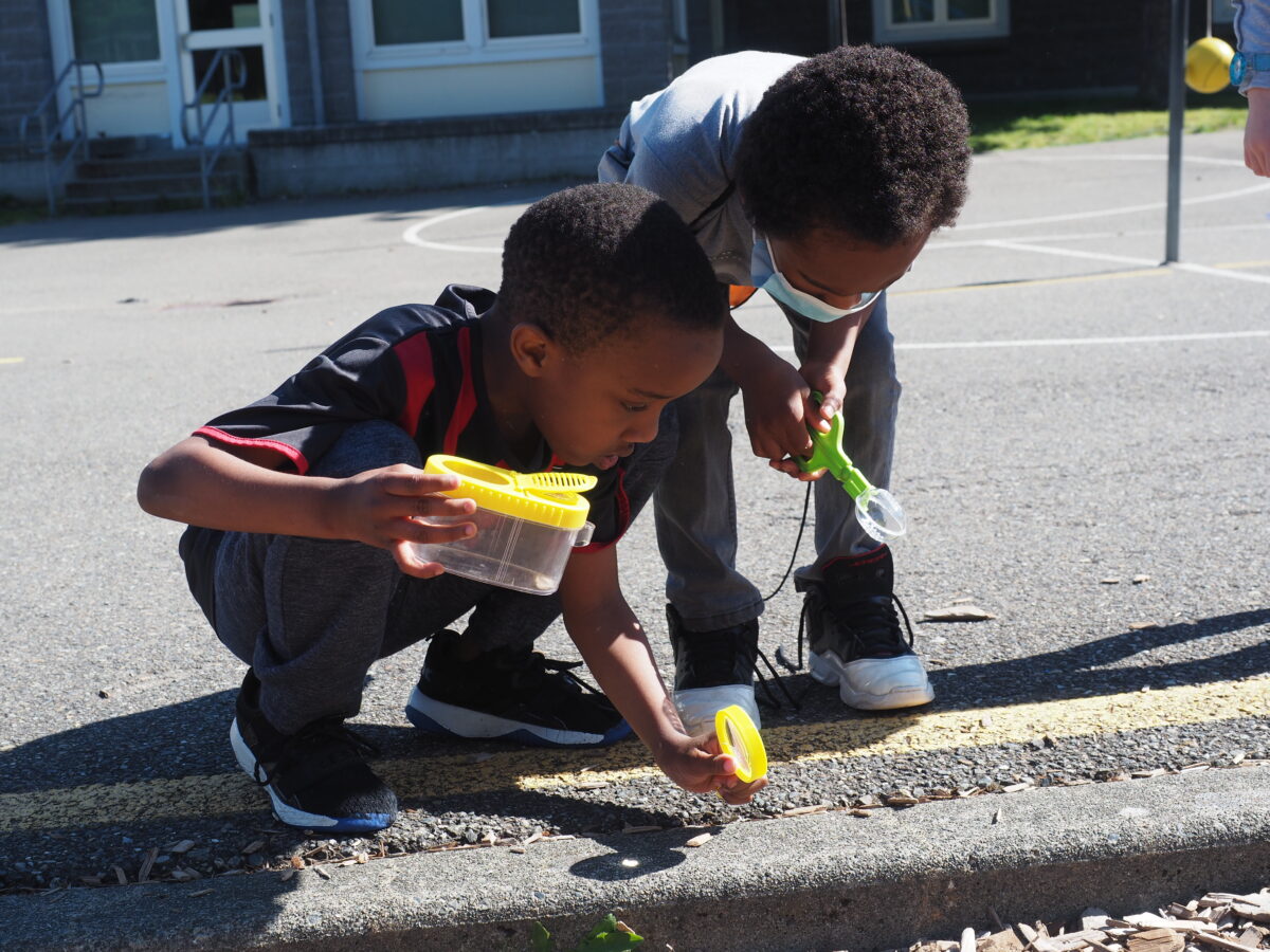 2 students look for pollinators on their playground