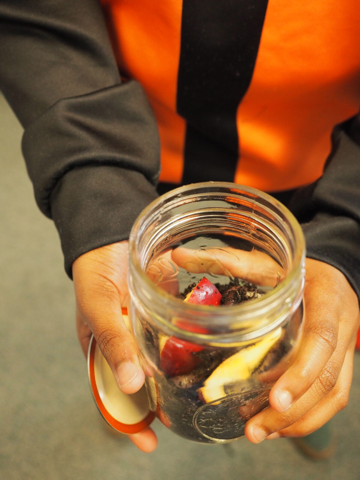 A close-up showing a student's hands holding a small mason jar that is used as a decomposition jar experiment, you can see fresh apple slices and soil inside 