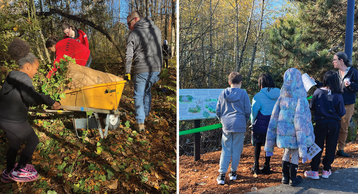 A split picture. The first image shows students and volunteers placing ivy into a wheel barrow and the second image shows students gathered around an interpretive sign. 