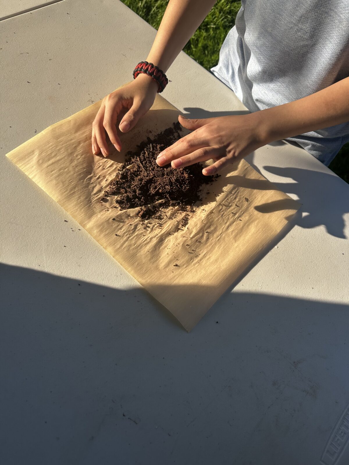 A close up of a pair of hands starting to assemble and prepare their seed ball.